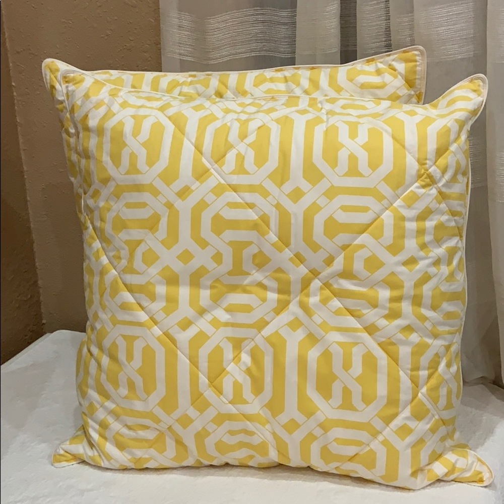 Pottery Barn Pair(2) Euro Sham Covers (NO Inserts)